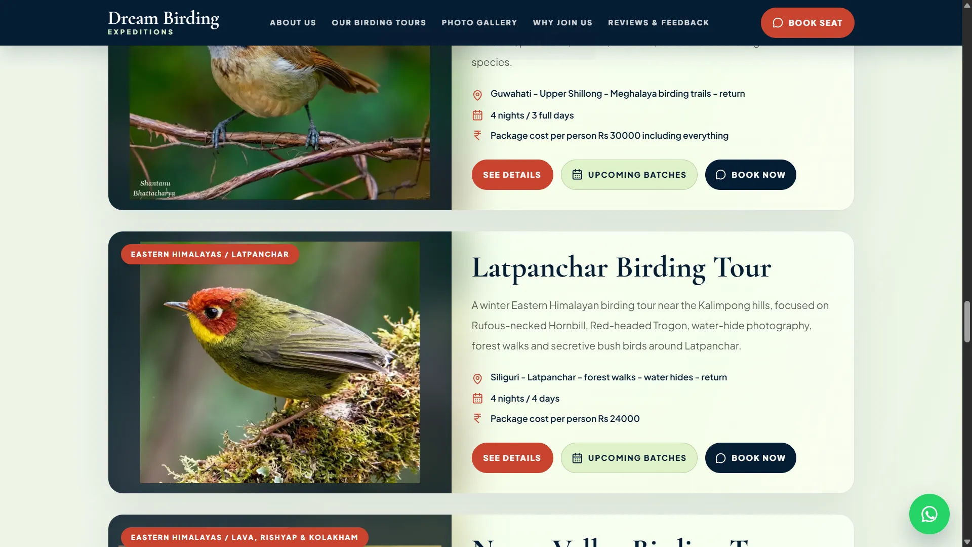 Web mockup 4