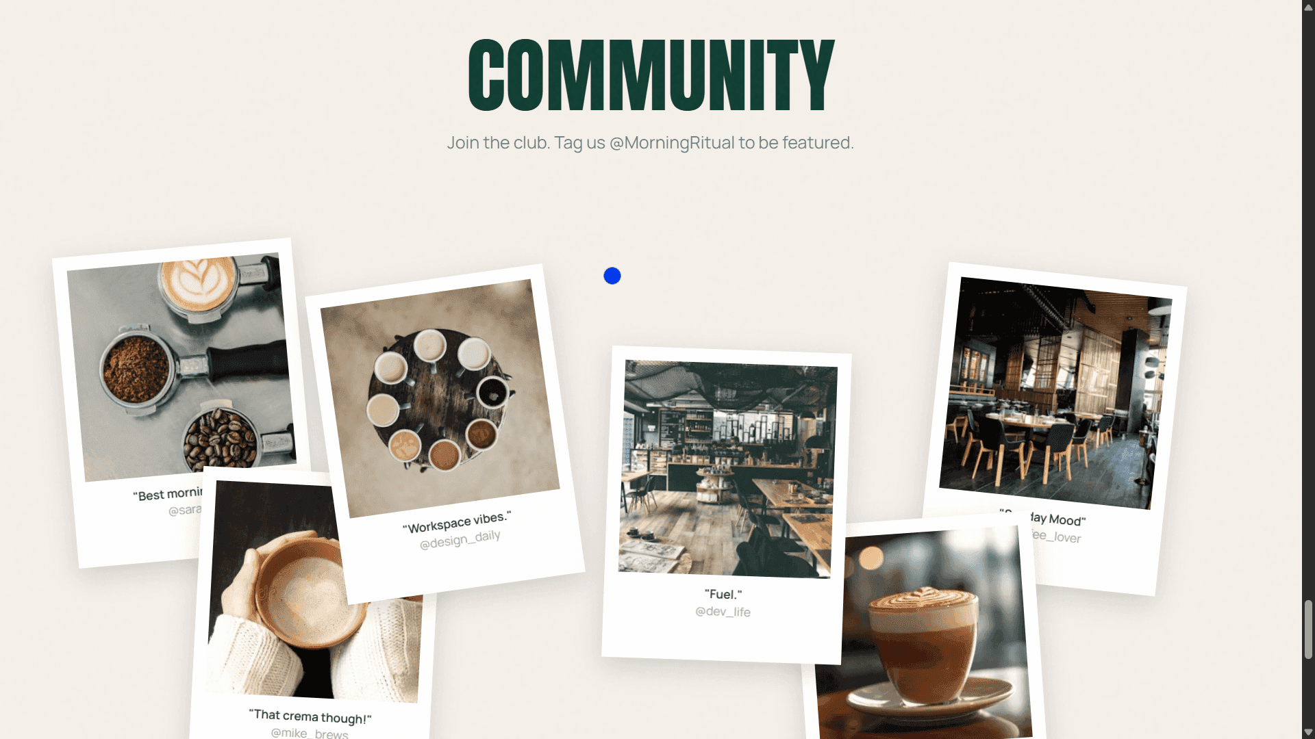 Web mockup 5