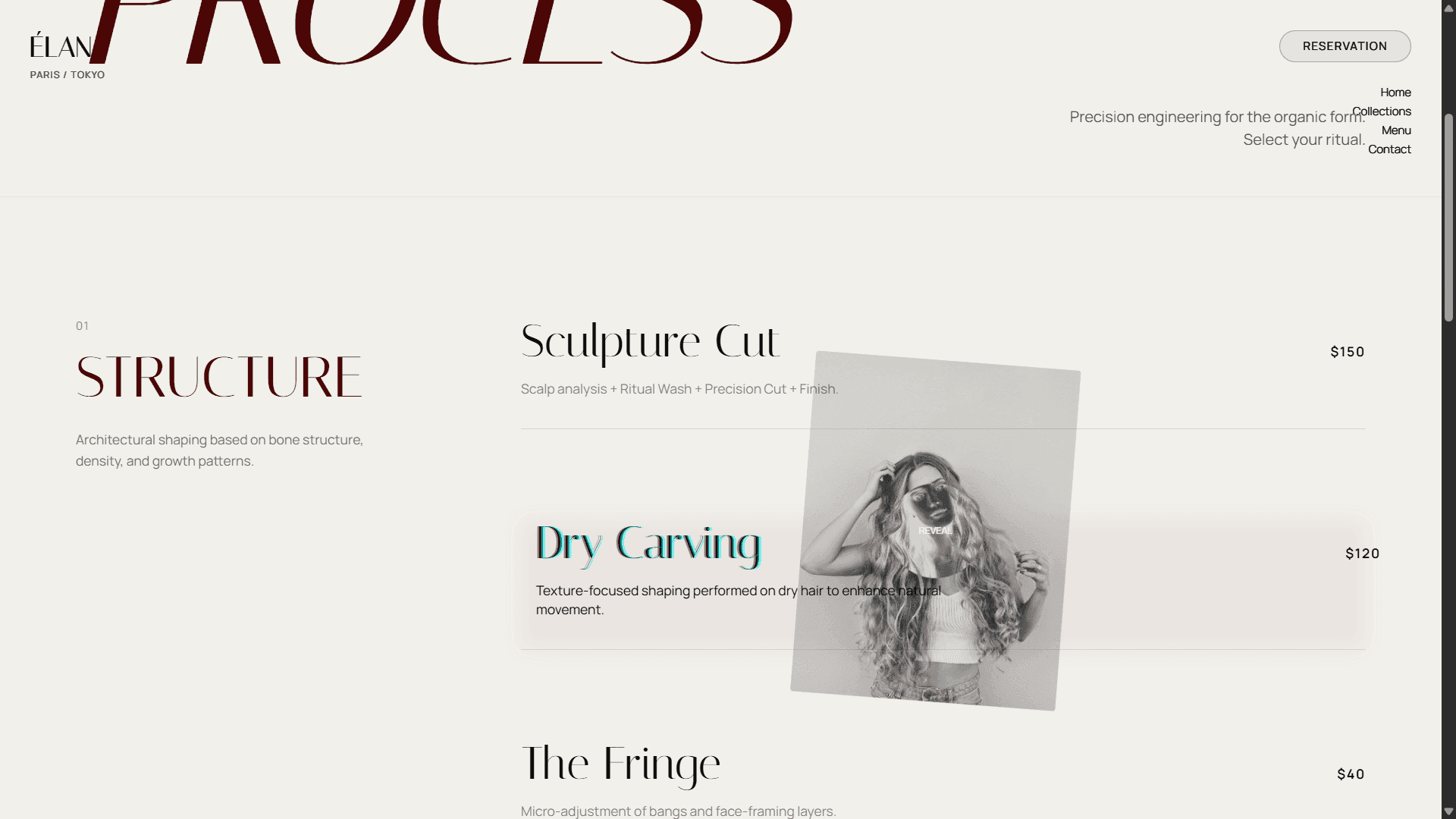Web mockup 5