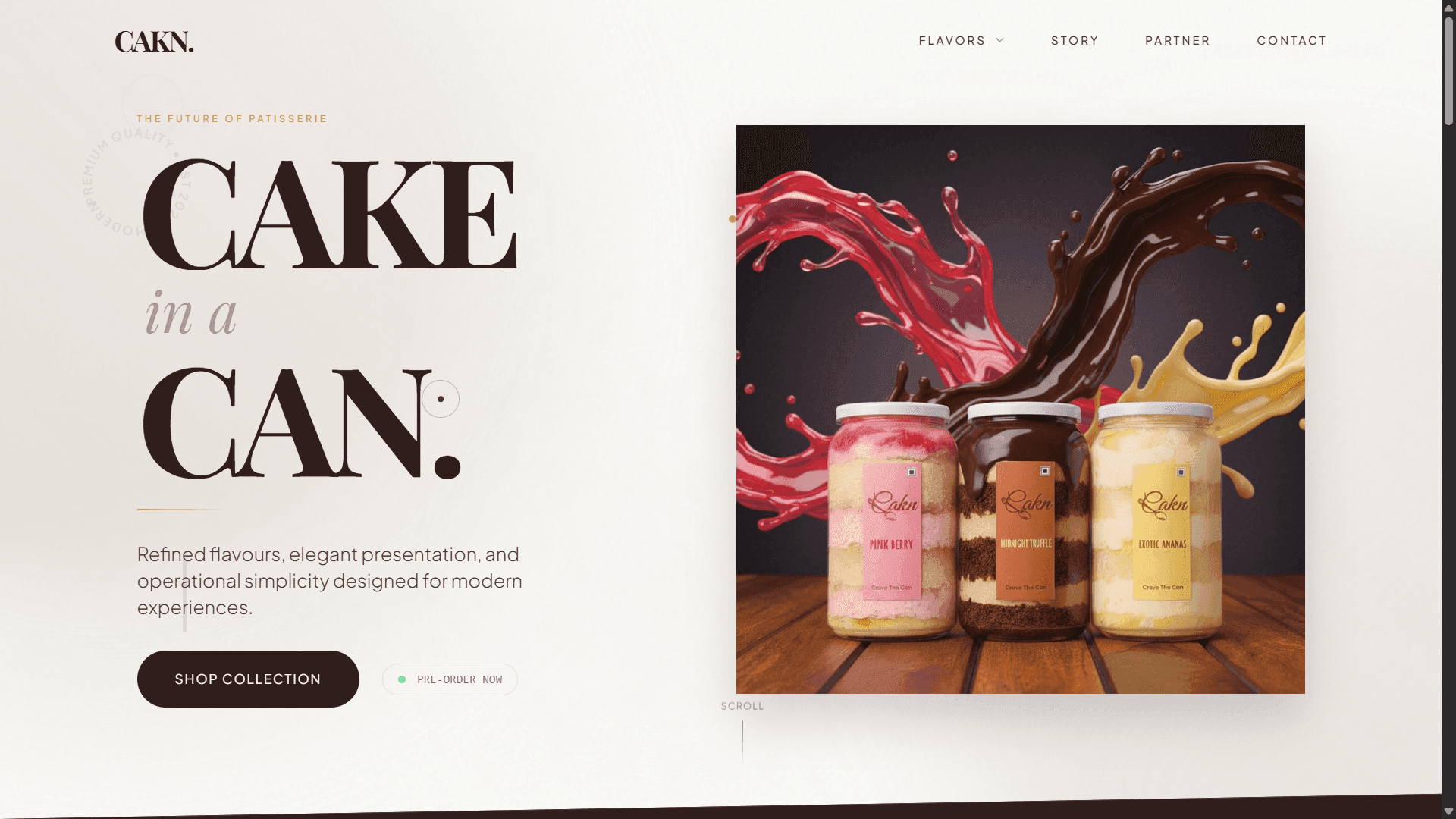 Web mockup 1