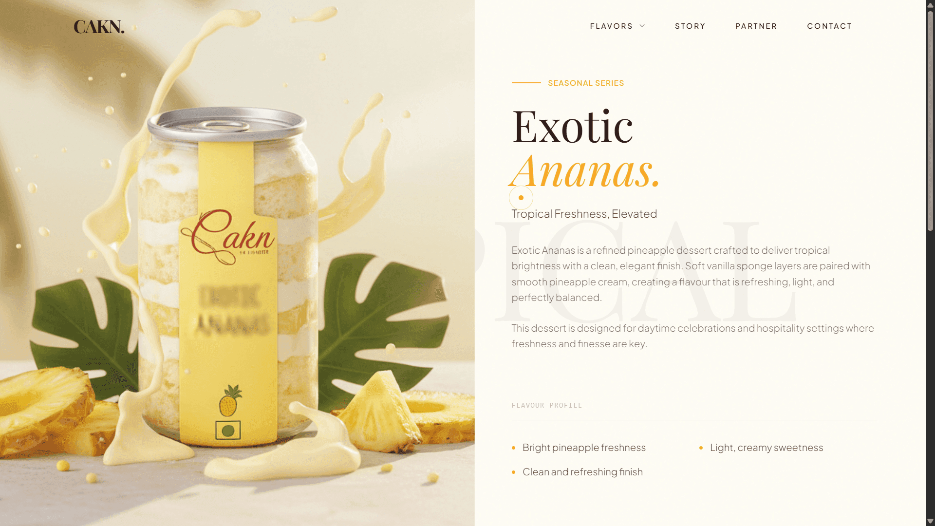 Web mockup 5