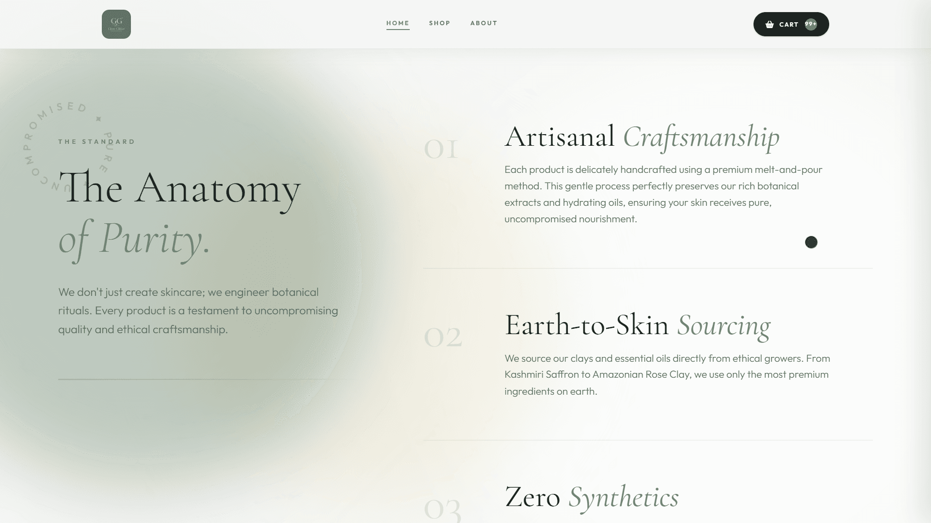 Web mockup 2