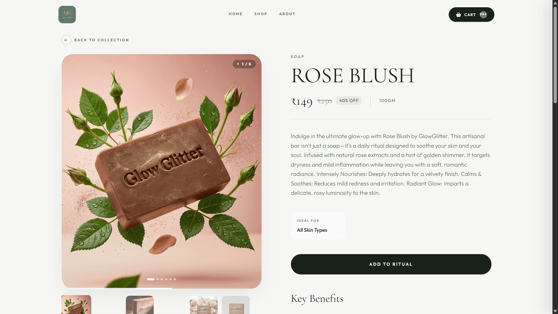 Web mockup 4